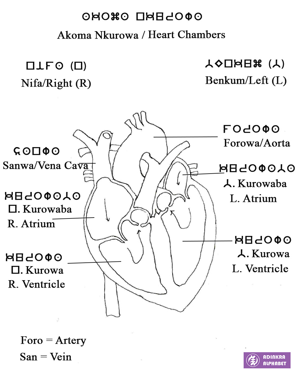 HeartChambers Adinkra Alphabet heartchambers-adinkra-alphabet