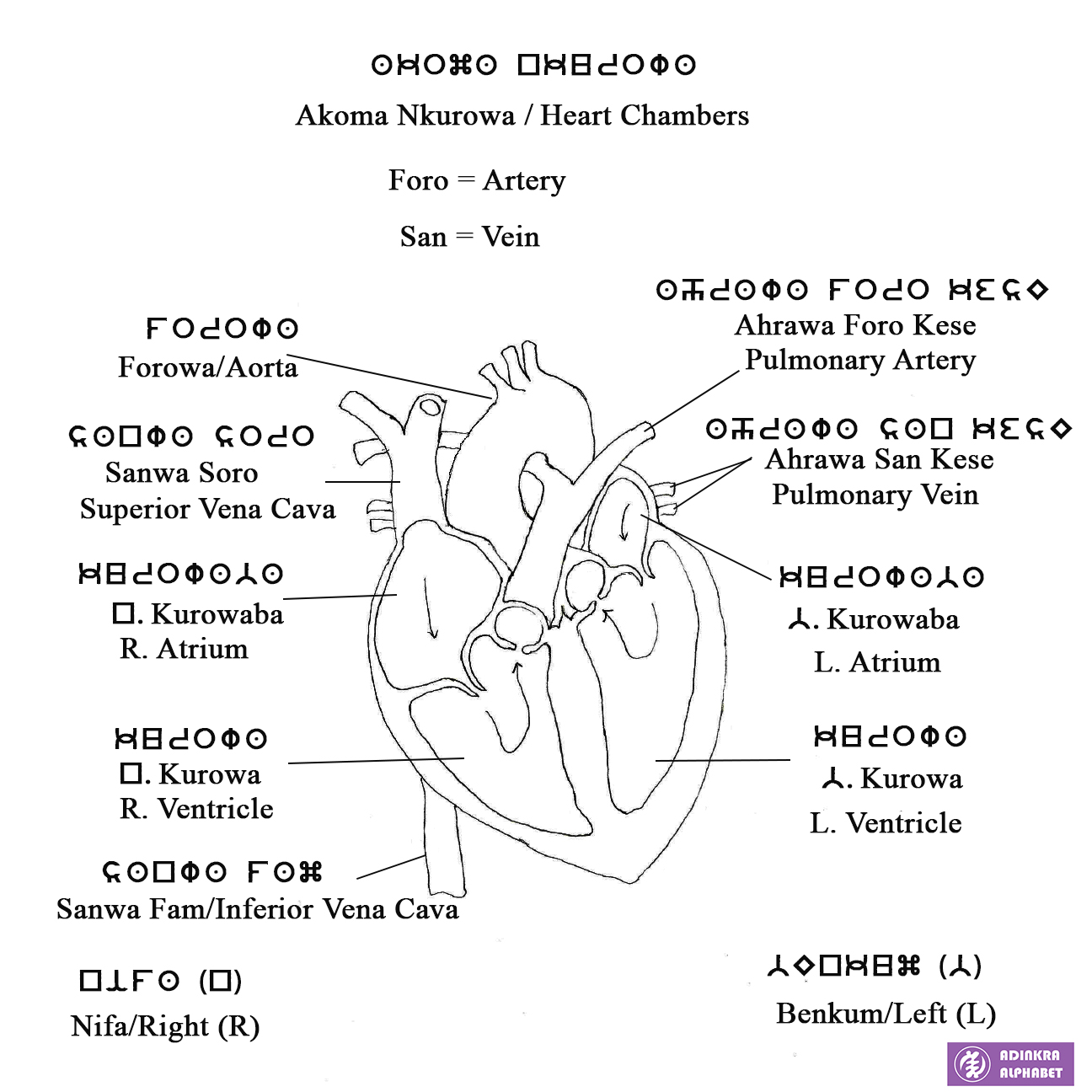 HeartChambersupdate2021 Adinkra Alphabet heartchambersupdate2021-adinkra-alphabet